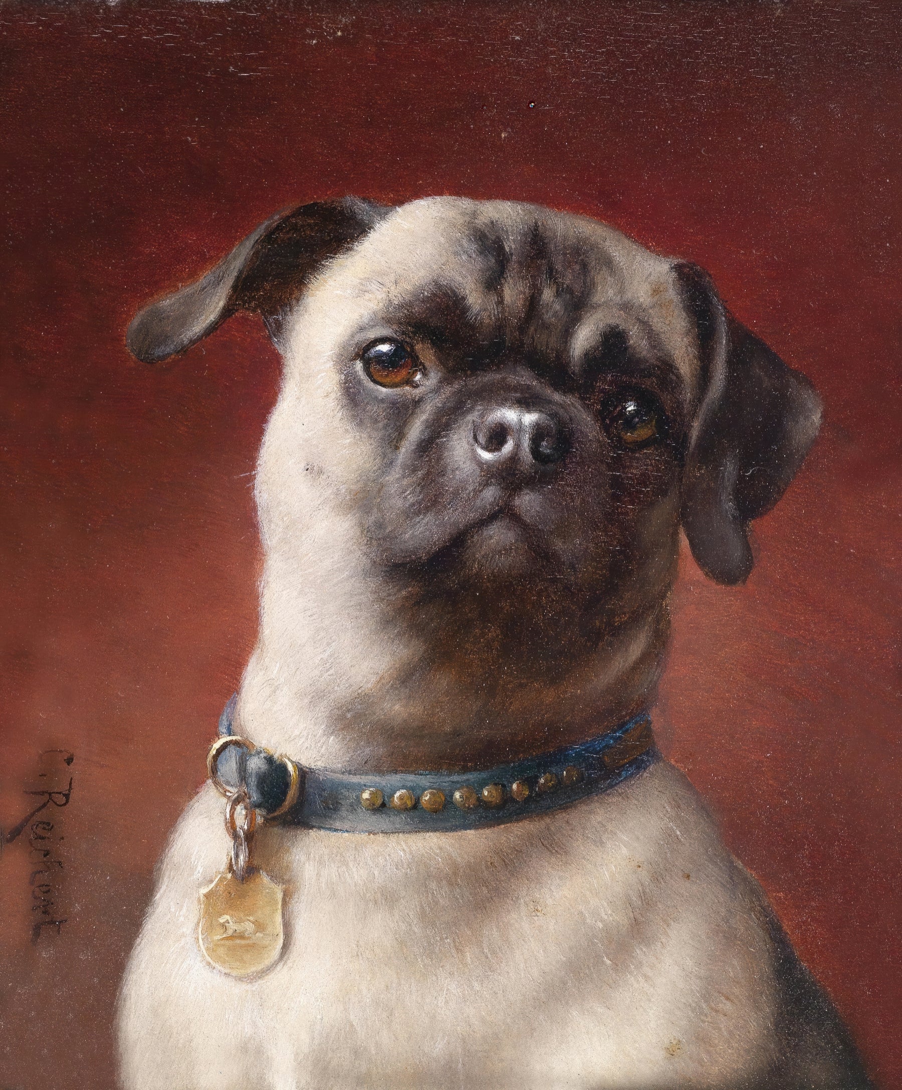Classic Portrait of a Dog