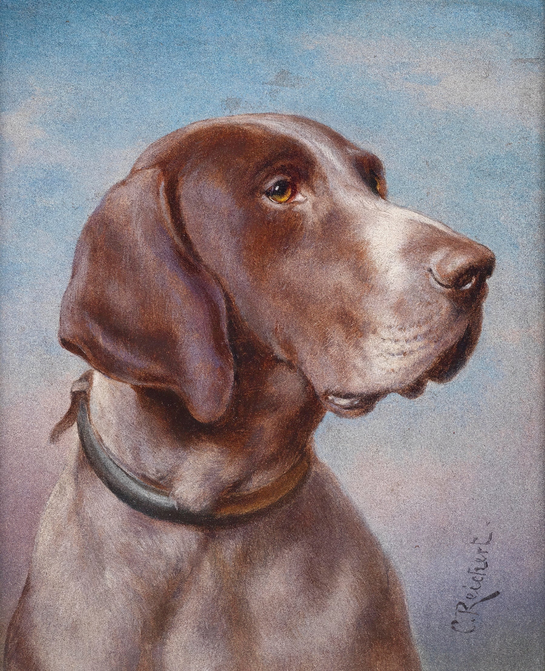 Brown Dog Portrait