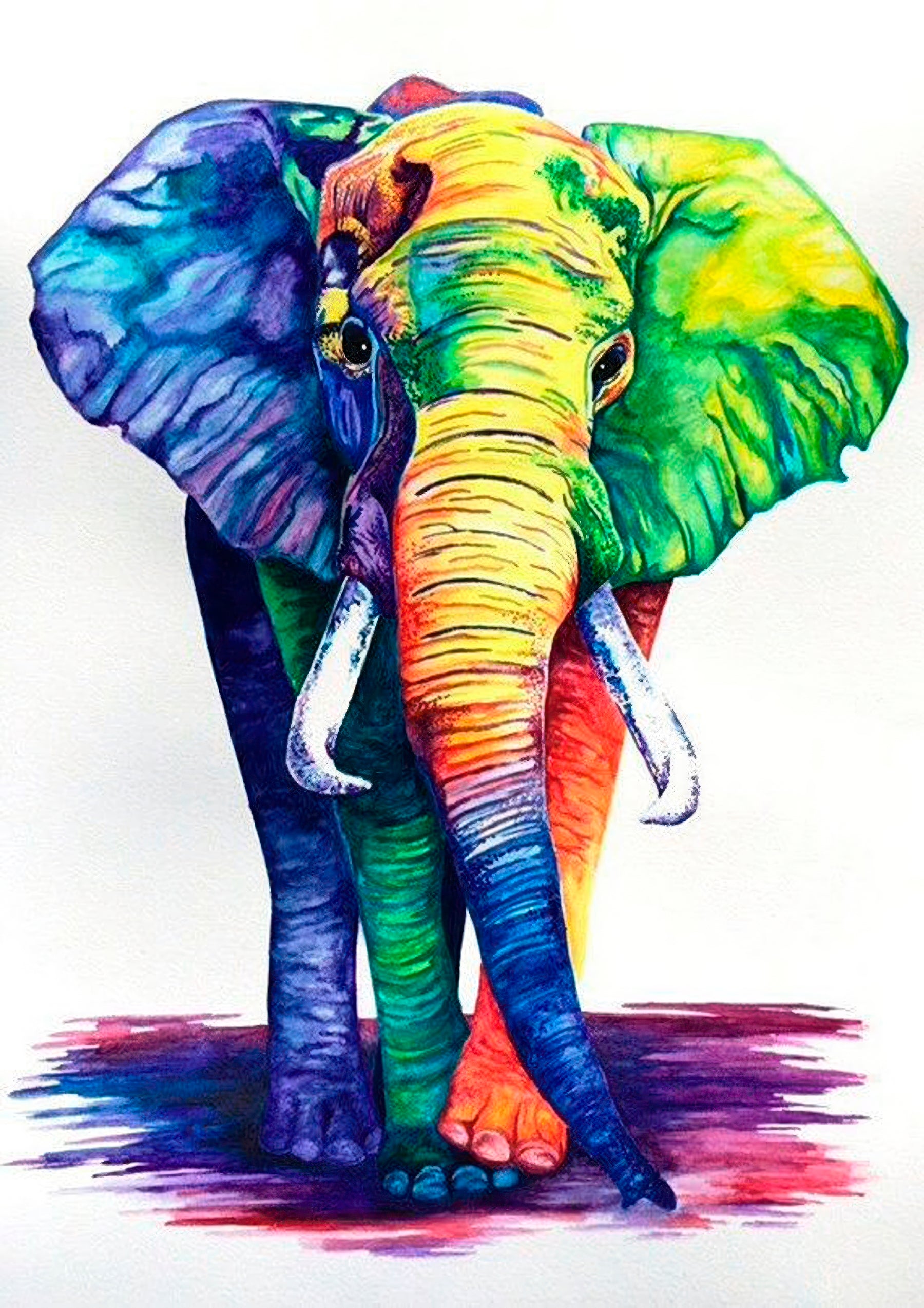 Colorful Elephant