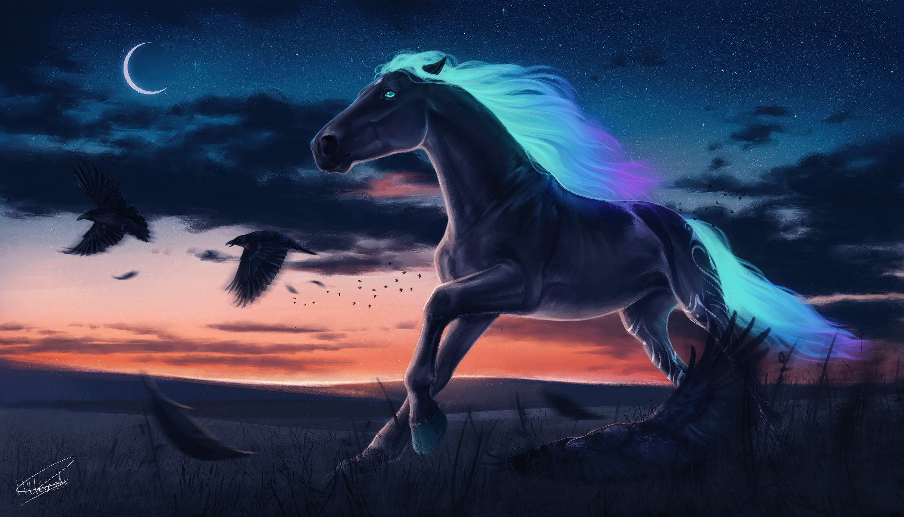Midnight Stallion