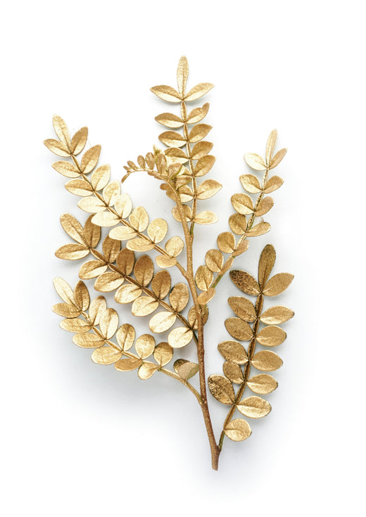 Golden Branch Leaves