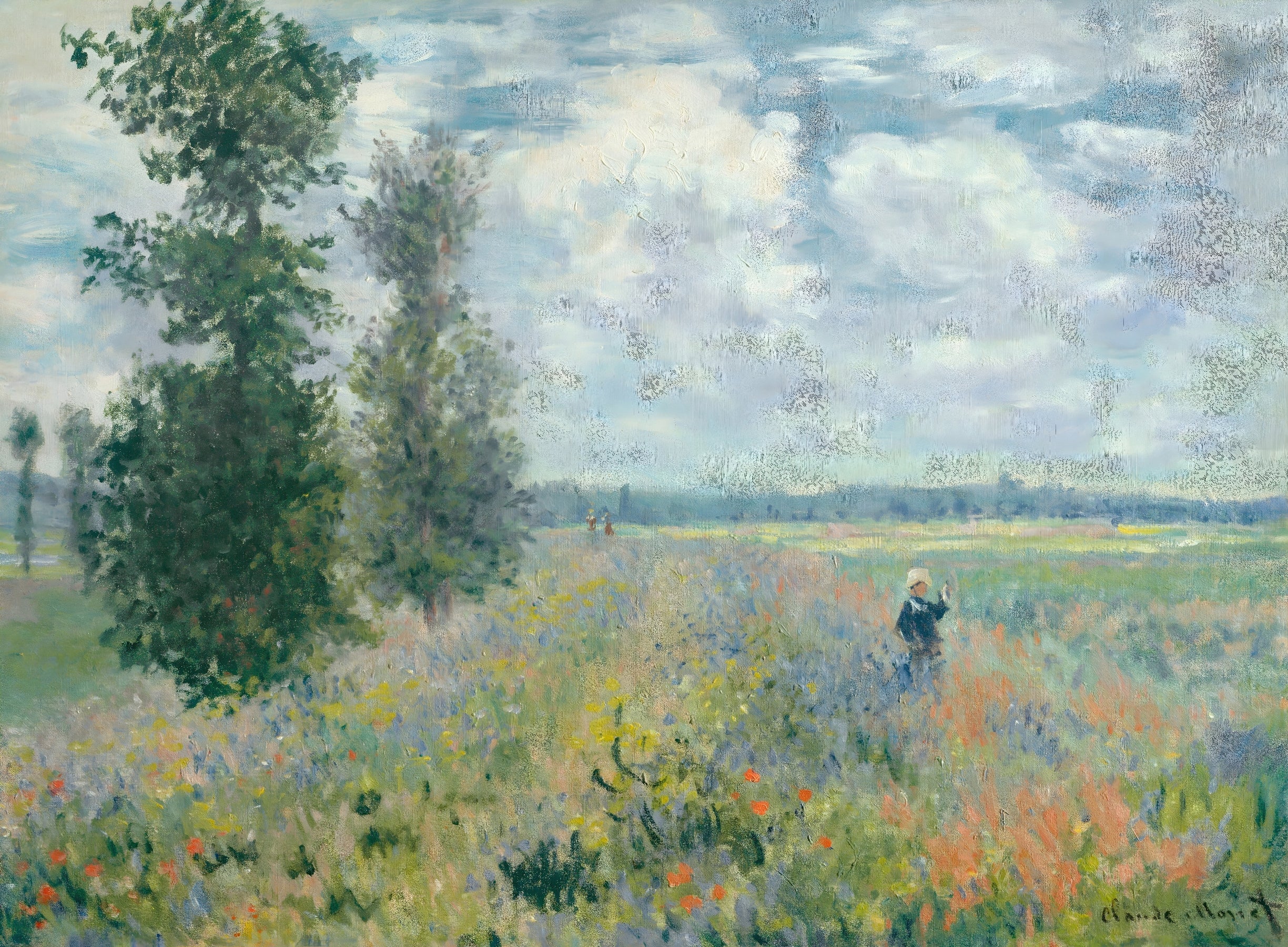 Meadow Walk with Wildflowers