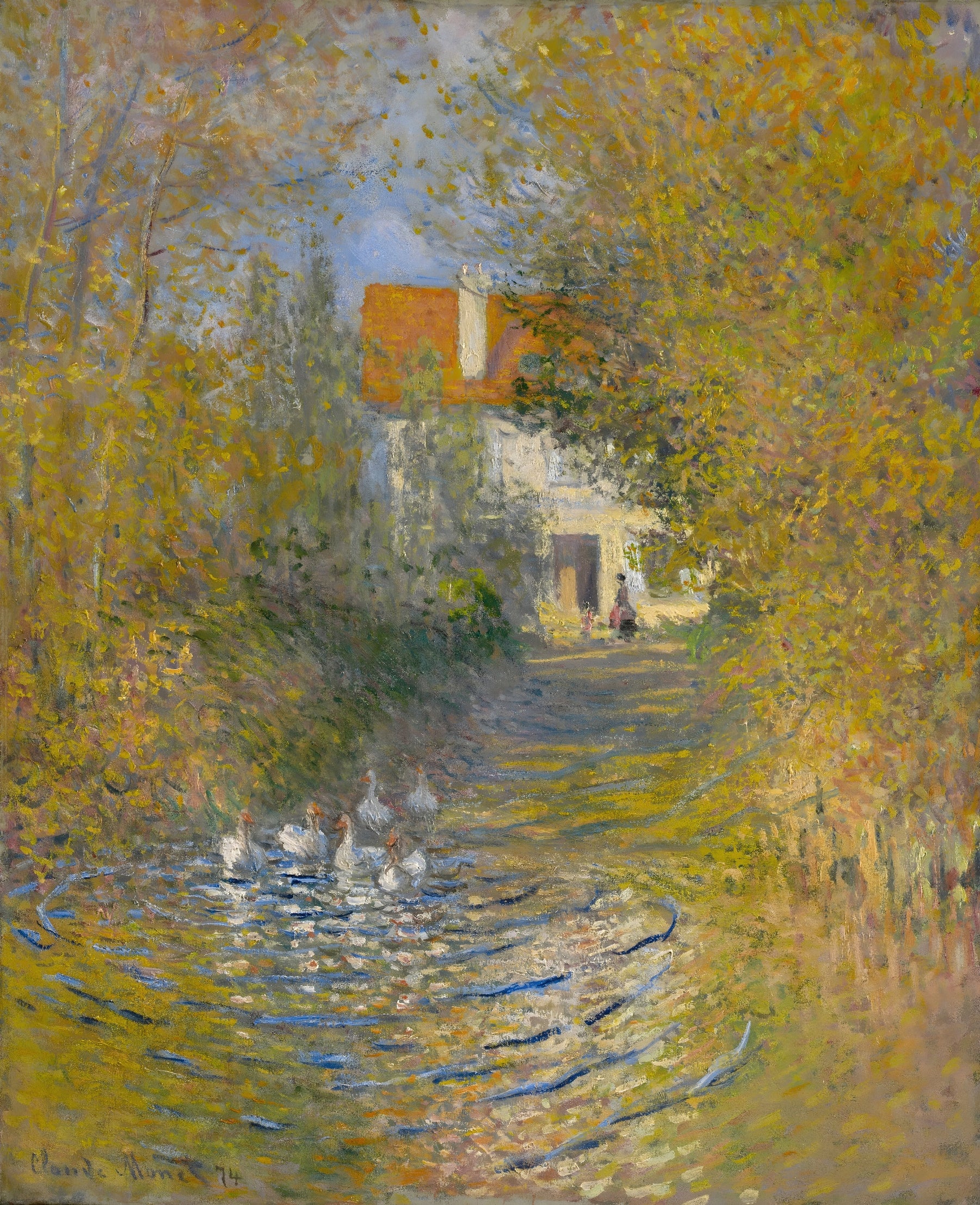 Ducks in Stream near Cottage