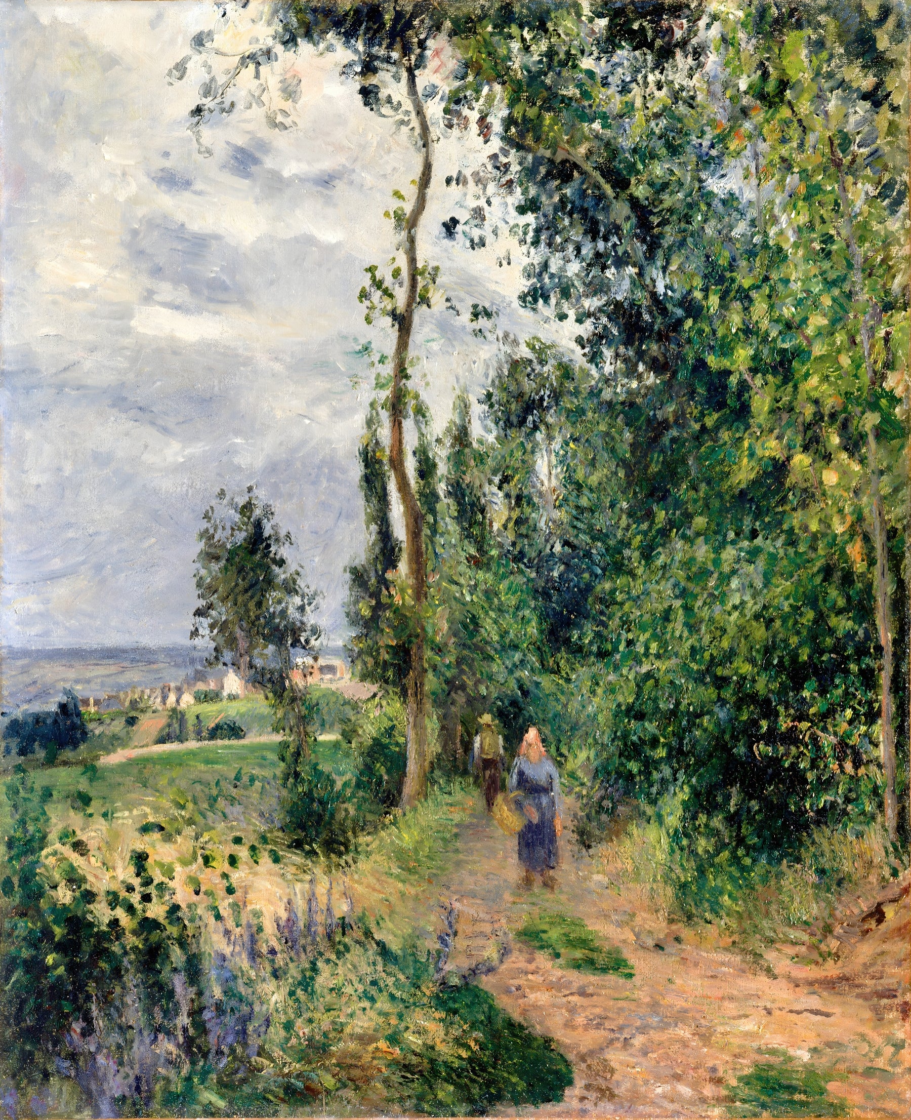 Pathway Through the Countryside
