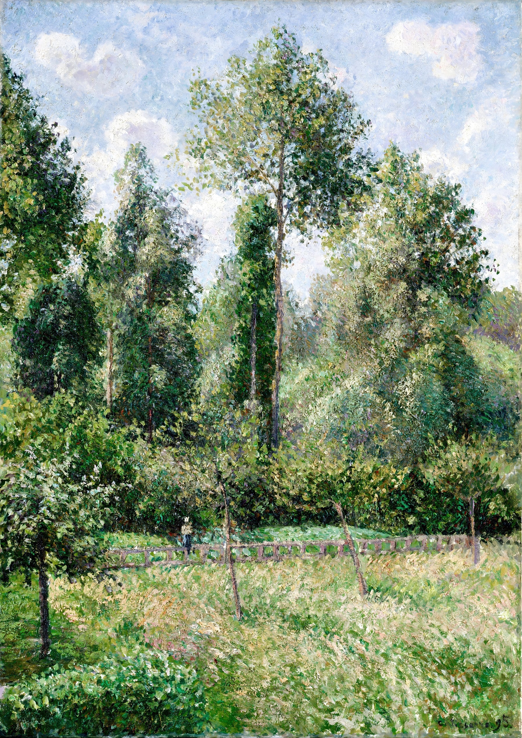 Morning in the Meadow