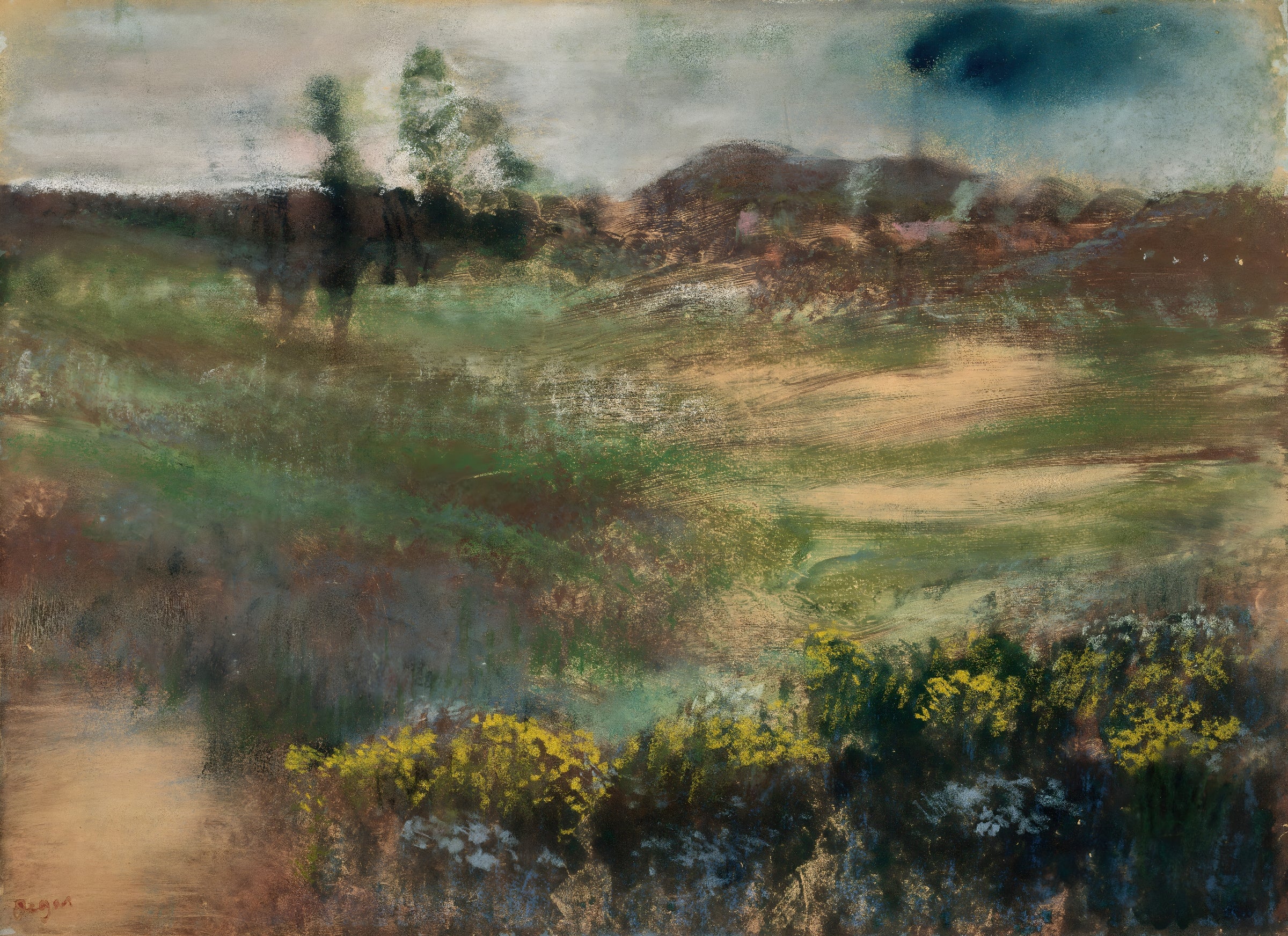 Misty Meadow Landscape