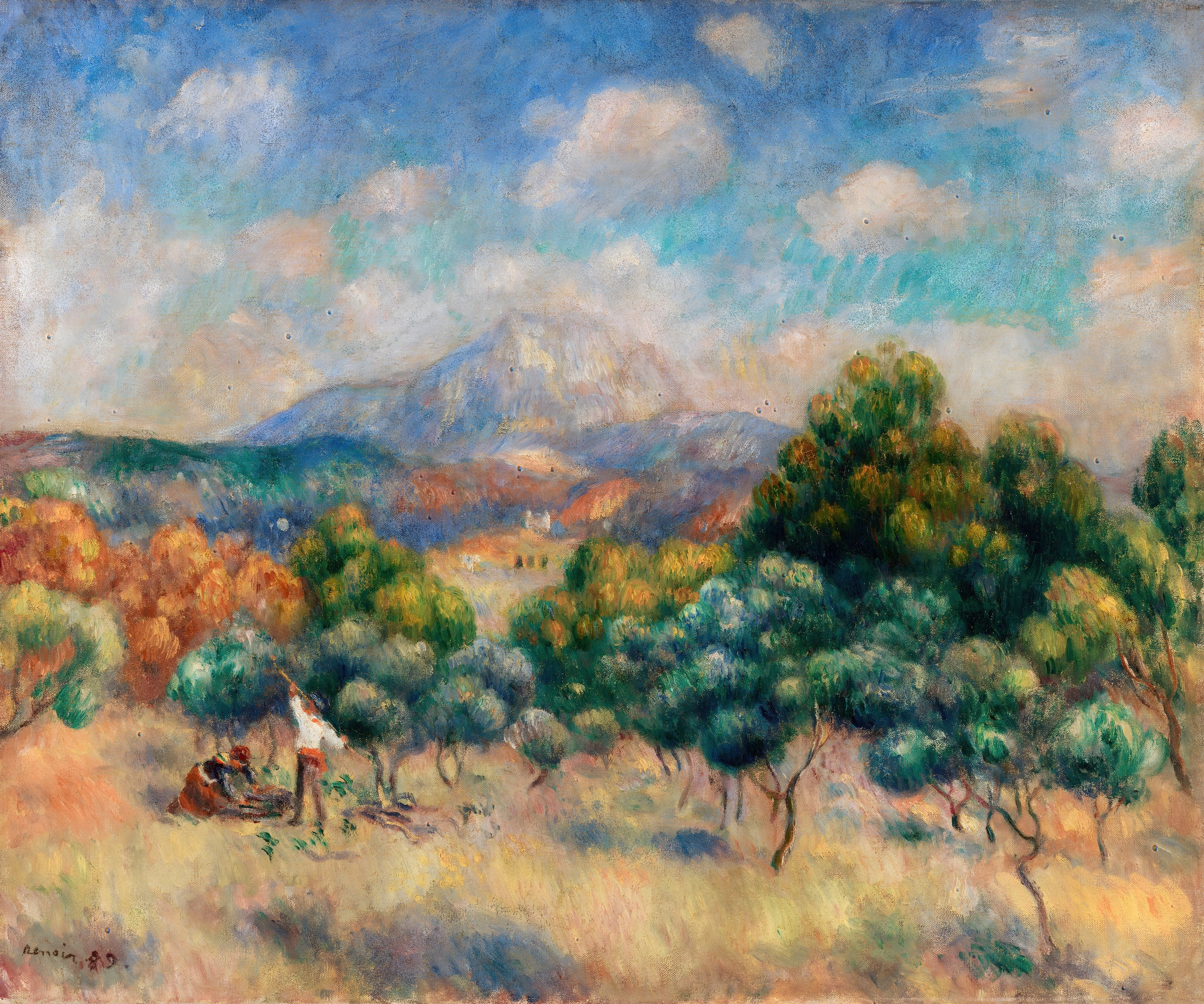 Olive Grove Harvest Scene