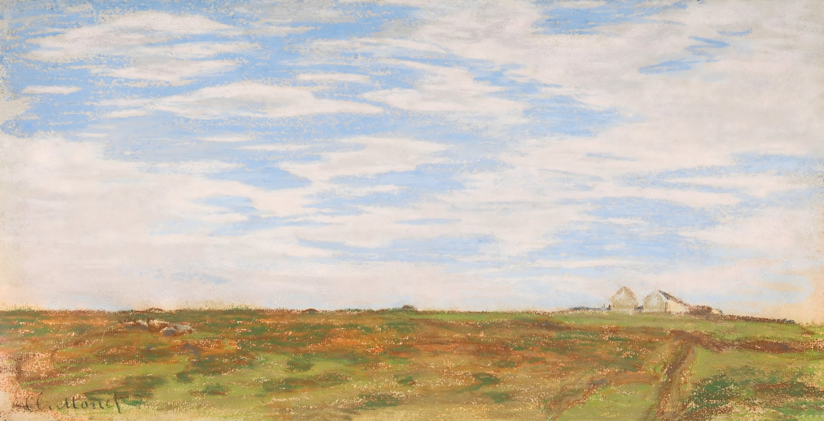 Open Field with Blue Sky