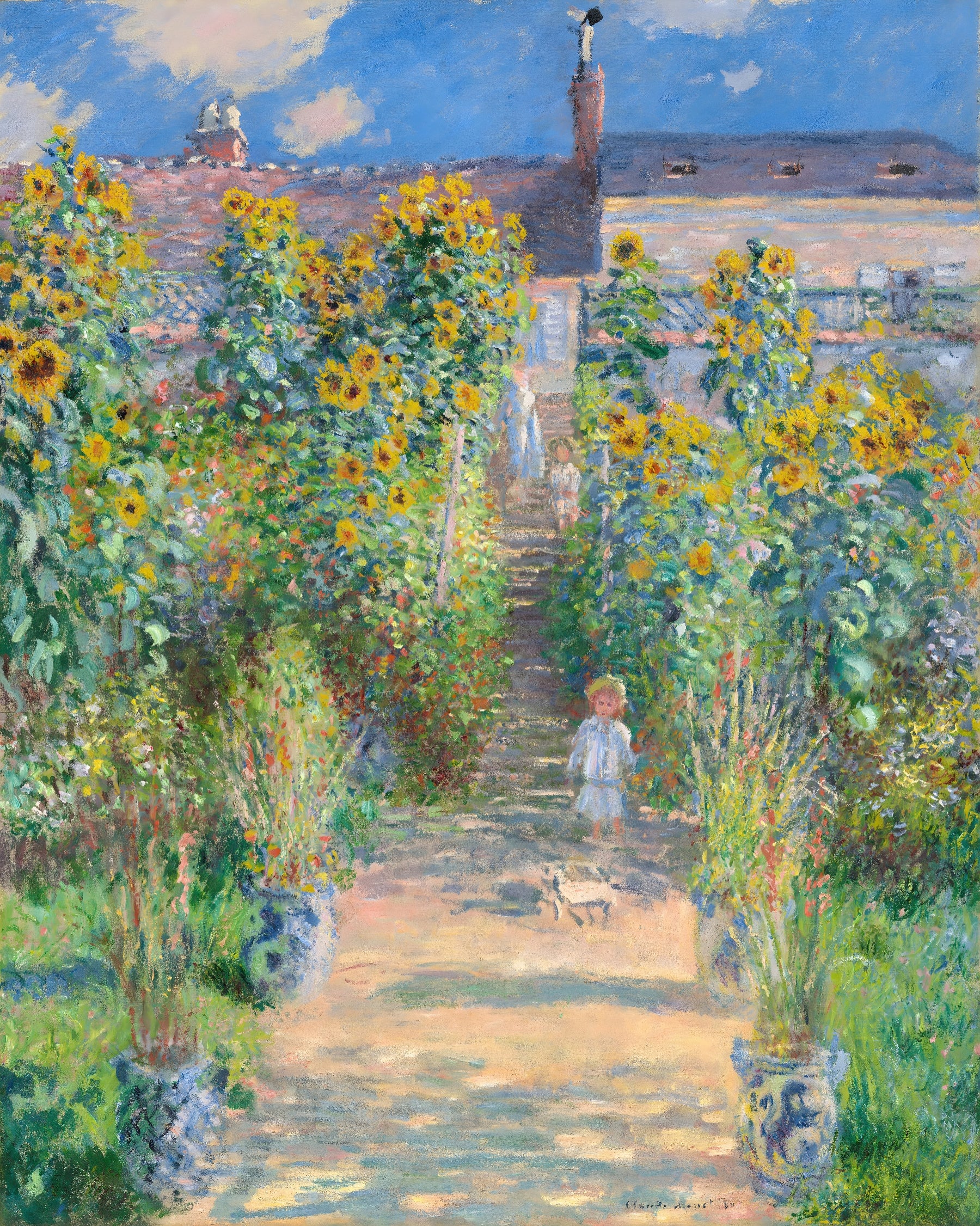 Pathway Lined with Sunflowers
