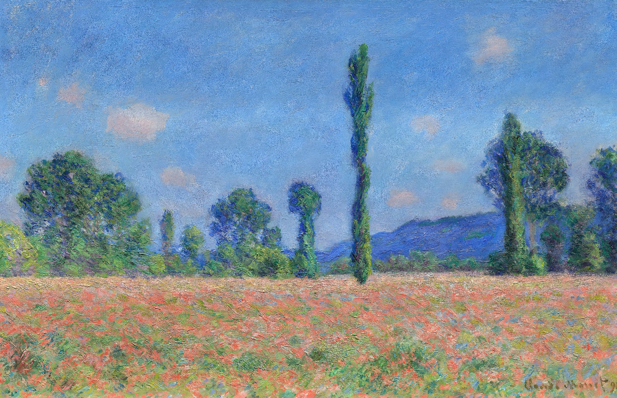 Meadow with Poppies