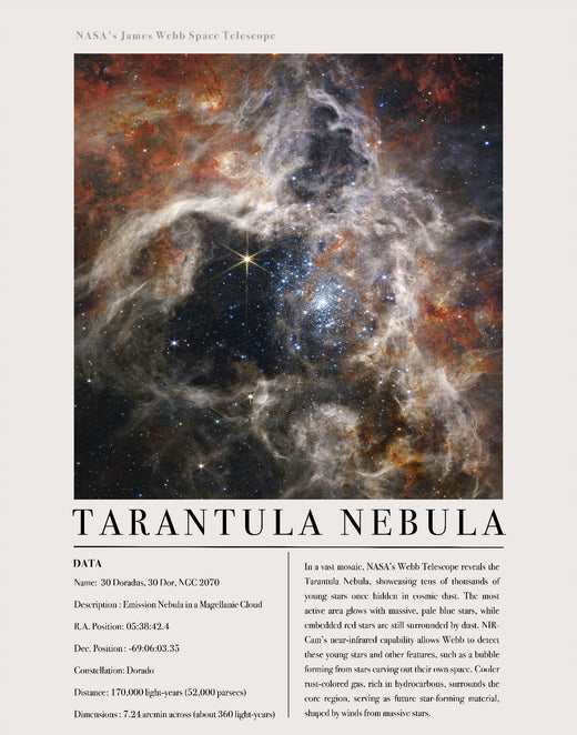 Tarantula Nebula